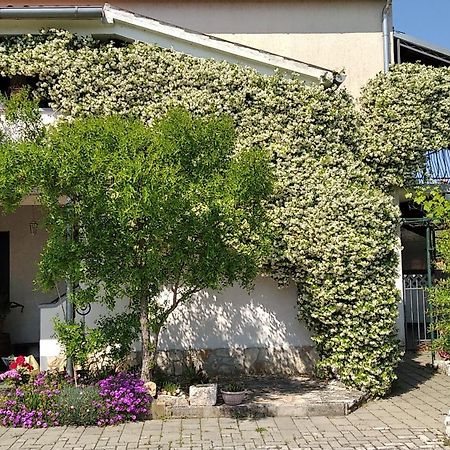 Apartment Sasa Bozac Πόρετς Εξωτερικό φωτογραφία