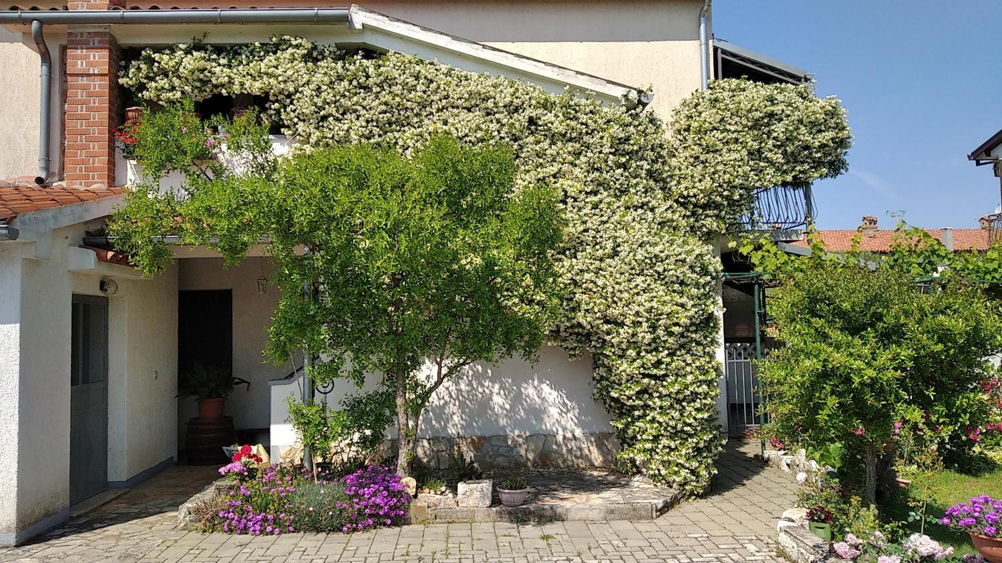 Apartment Sasa Bozac Πόρετς Εξωτερικό φωτογραφία
