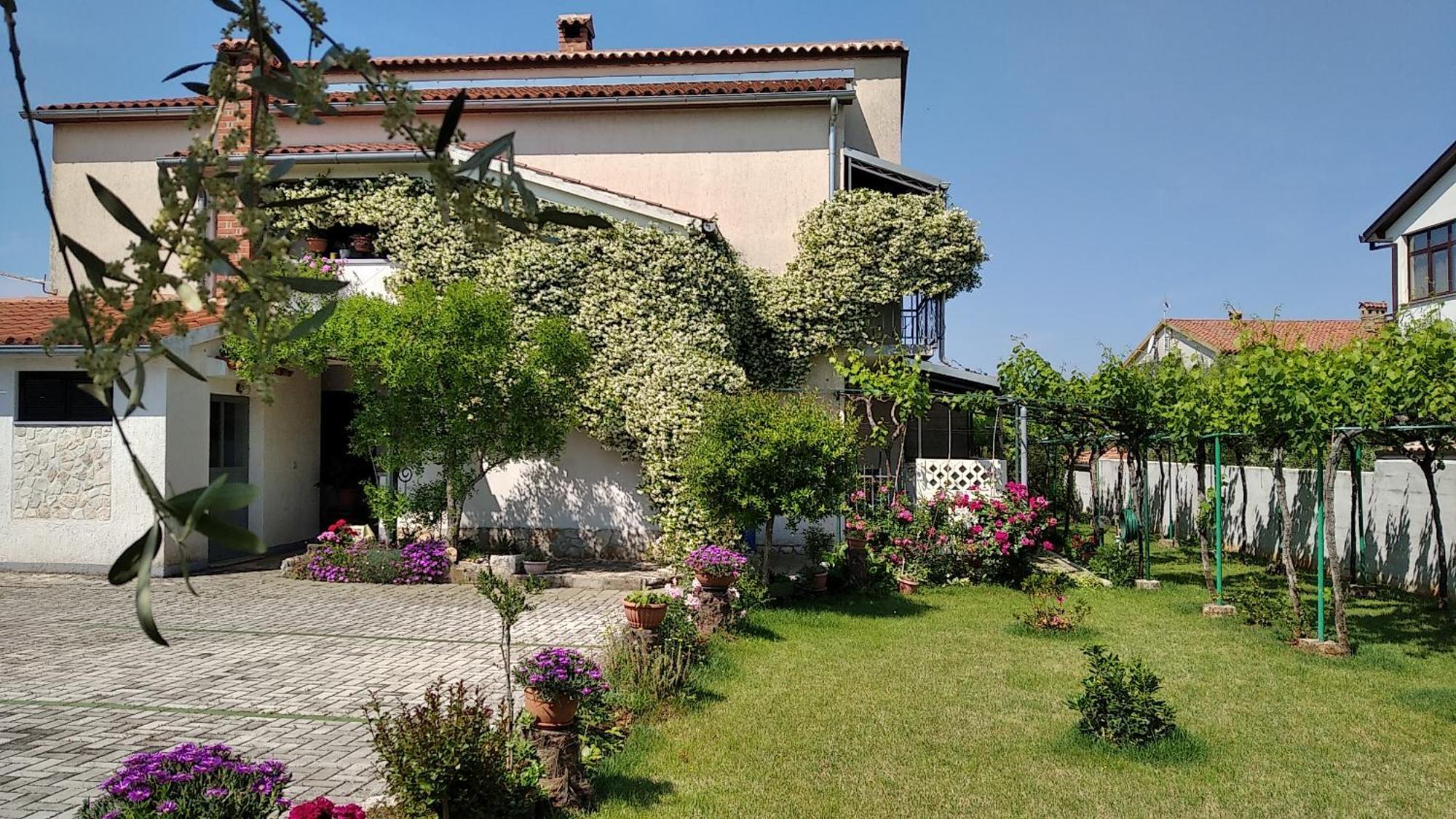 Apartment Sasa Bozac Πόρετς Εξωτερικό φωτογραφία